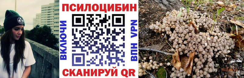 купить наркоту  Электросталь  Псилоцибиновые грибы MAGIC MUSHROOMS 