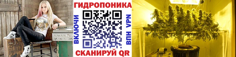 Шишки марихуана MAZAR Электросталь